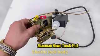 Zware Shacman Howo Truck lichaamsdelen DZ14251340012