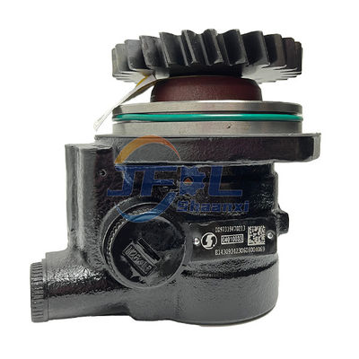 Steering olie pomp DZ97319470213 voor Shacman