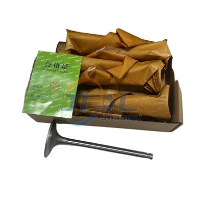 Hoogwaardige Originele Vrachtwagenonderdelen 4995554 4994143 Inlaat- en Uitlaatkleppen Accessoires voor Dongfeng 6W Model B19033